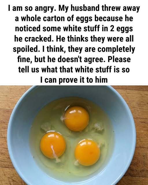 What Exactly Is the White Part of an Egg, Why It Looks Strange, What It Does for Freshness, Safety, Nutrition