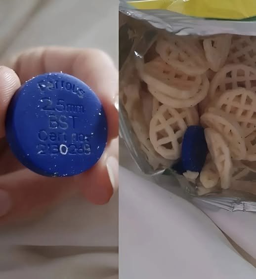 We Found a Strange Blue Object Inside a Sealed Bag of Chips, Triggering Online Alarm, Investigation, and Relief After Discovering the Unexpected Truth Behind a Factory Safety Device Meant to Protect Consumers but Rarely Seen Outside Manufacturing Lines during routine quality checks worldwide daily operations