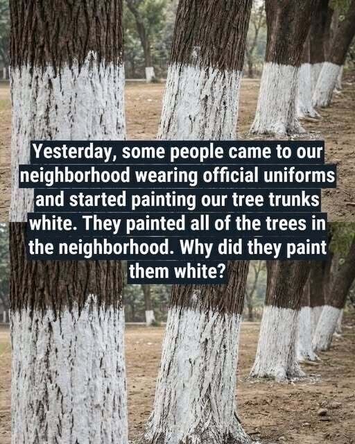 What’s the Reason Behind Painting Trees White?