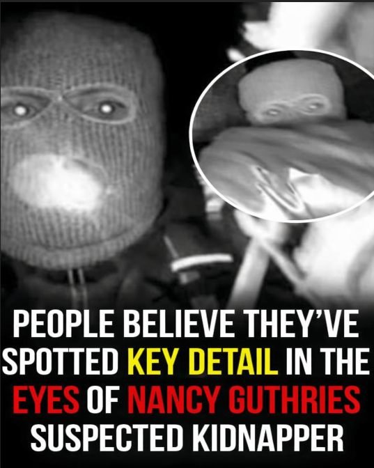 People Spot Possible Clue in Eyes of Nancy Guthrie Suspect