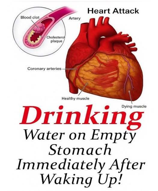 Benefits of drinking water on an empty stomach can play an important role in supporting overall health and daily energy. Starting the day with a glass of water helps rehydrate the body after hours of sleep and can support digestion, metabolism, and circulation. This simple morning habit may also help flush out toxins, improve focus, and prepare the body for the day ahead. 💧