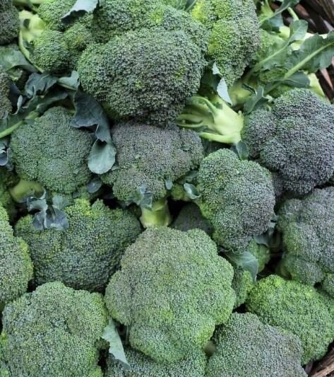 Doctors reveal that eating broccoli causes …