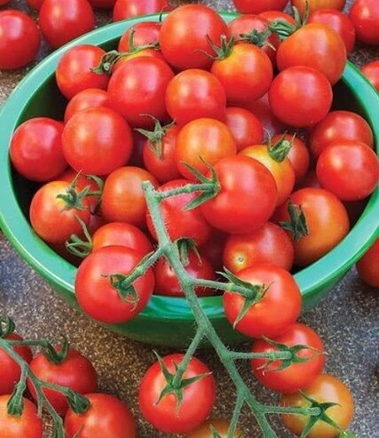 Eating tomatoes: an ally for your health and your kitchen