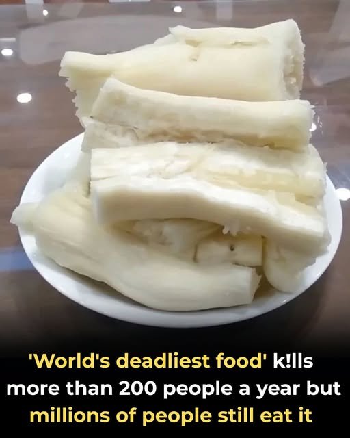Despite Being the ‘World’s Deadliest Food,’ 500 Million Still Consume It, and It Claims Over 200 Lives Annually