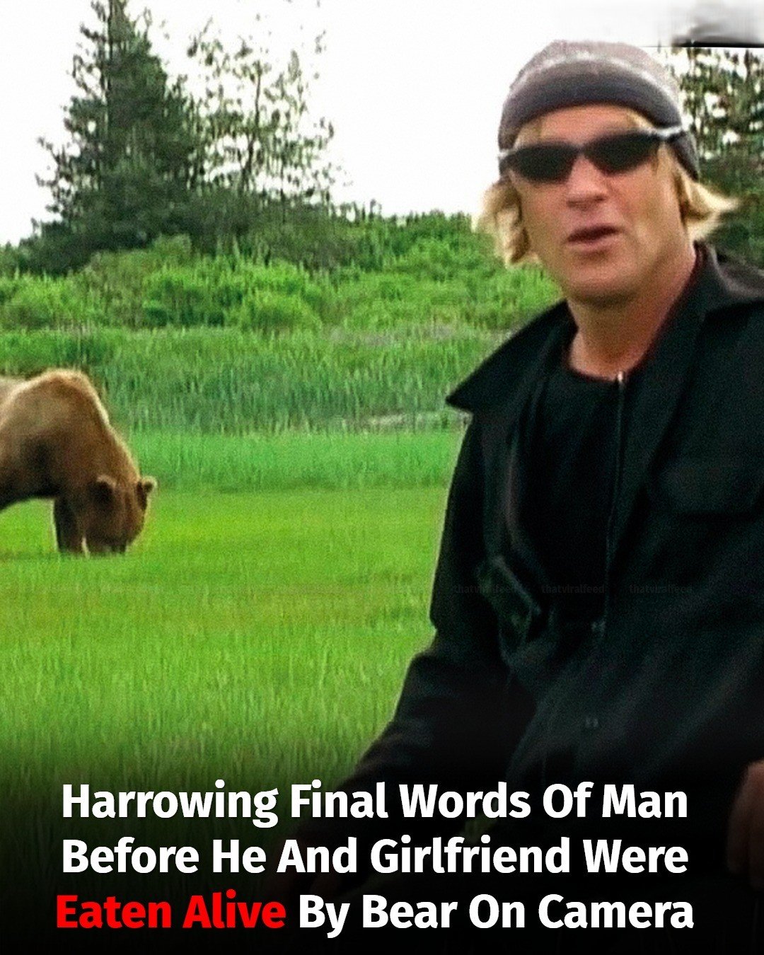 Harrowing Final Words Of Man Before He And Girlfriend Were Eaten Alive By Bear On Camera