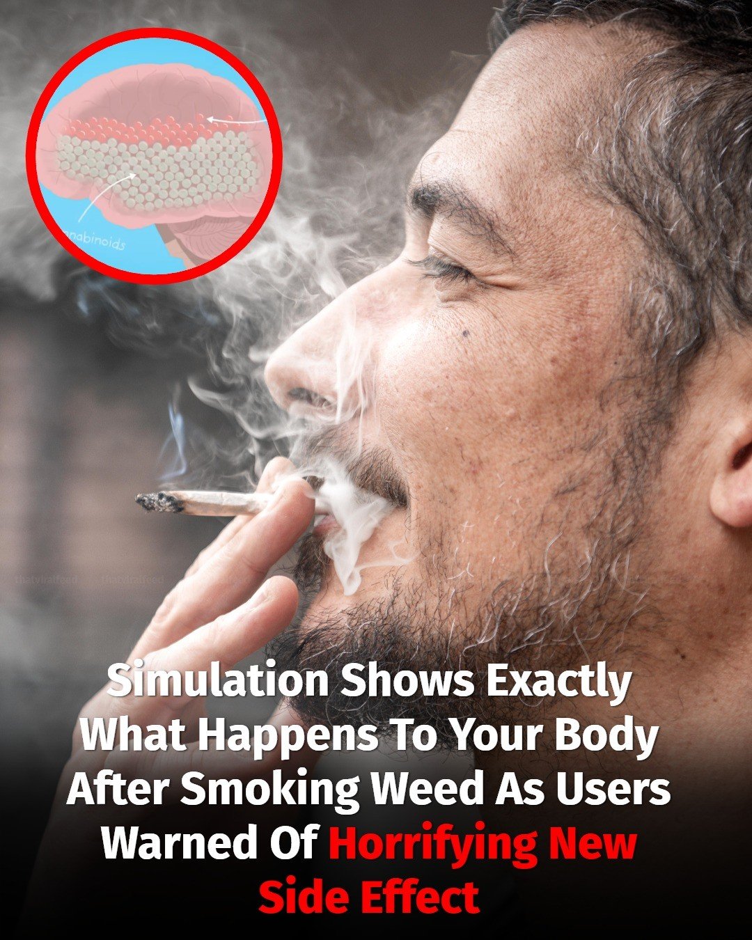 Simulation Reveals What Happens Inside Your Body After Smoking Weed As Users Warned About Alarming New Side Effect