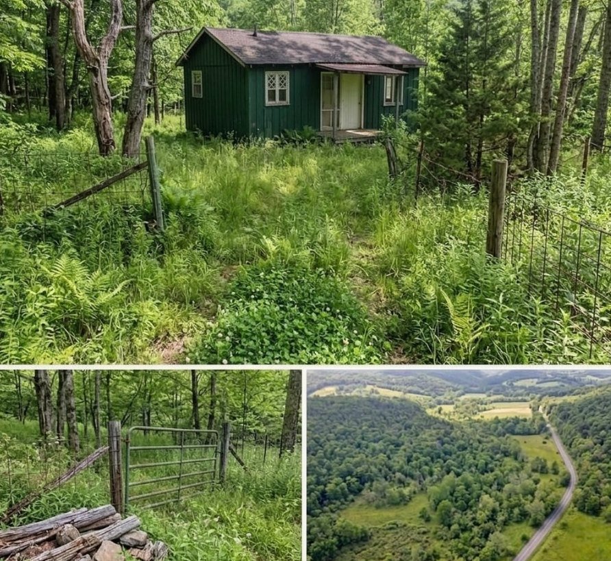Now $19,000—recently reduced by $6K. Escape to total privacy: no neighbors, no noise, peace and open space. Perfect for a getaway, investment, or off-grid living. Rare opportunity to own quiet land at an unbeatable price. Act fast before it’s gone.