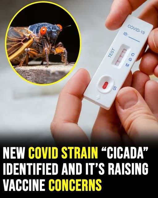 New Covid strain ‘Cicada’ identified and it’s raising vaccine concerns