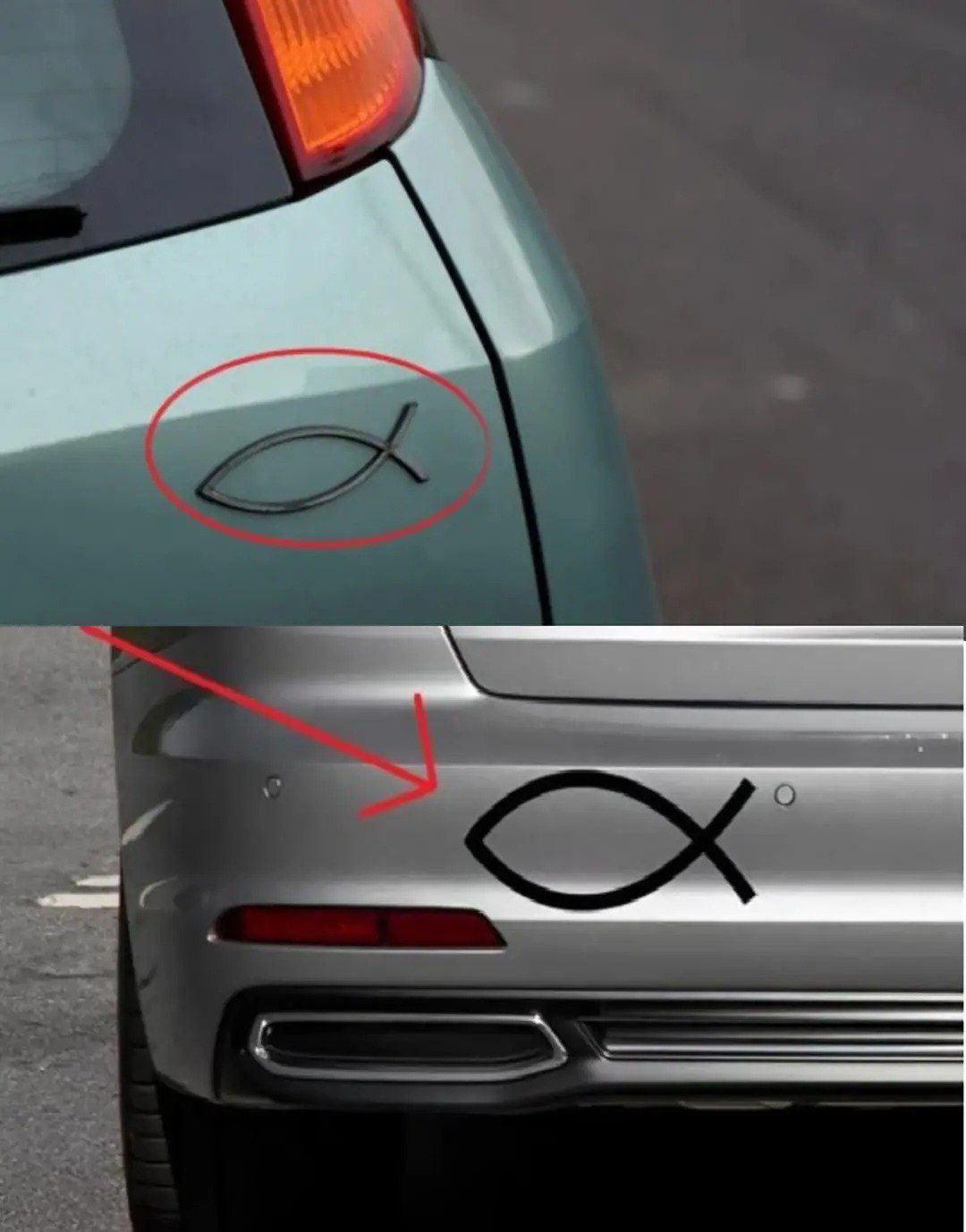 What the Small Fish Symbol on Some Cars Really Means