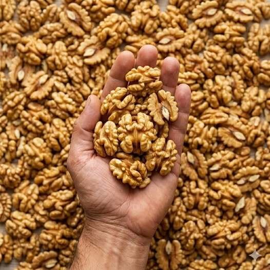 Doctors reveal that eating walnuts causes