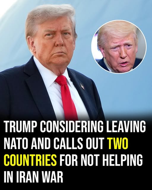 Trump considering leaving NATO and calls out two countries for not helping in Iran war