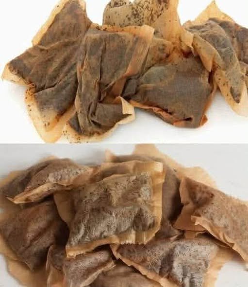 Most People Throw Tea Bags Away… Until They Discover What They’re Really Worth