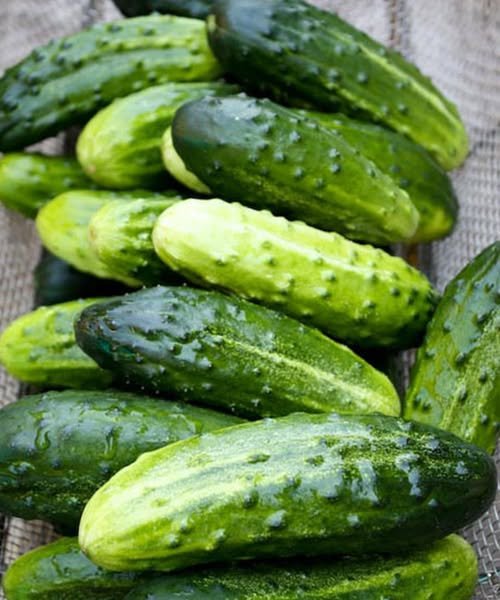 Why Doctors Recommend Adding Cucumber to Your Salad Routine
