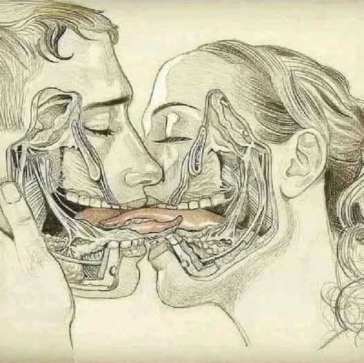 What Really Happens During A Kiss