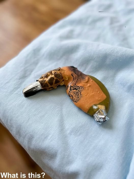 A Mysterious Melted Item Discovered in the Oven Left Everyone Stunned