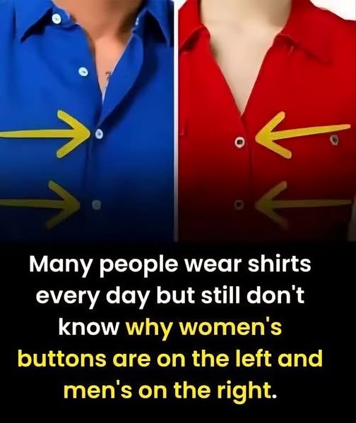 Why Women’s Shirts Button on the Left and Men’s on the Right: A Historical Fashion Tradition Rooted in European Class Structure, Servant-Assisted Dressing, and Practical Needs of Men Carrying Weapons, Showing How Centuries-Old Social Customs Became Standardized Into Modern Clothing Design and Still Persist Today as a Subtle Remnant of Historical Gender Roles