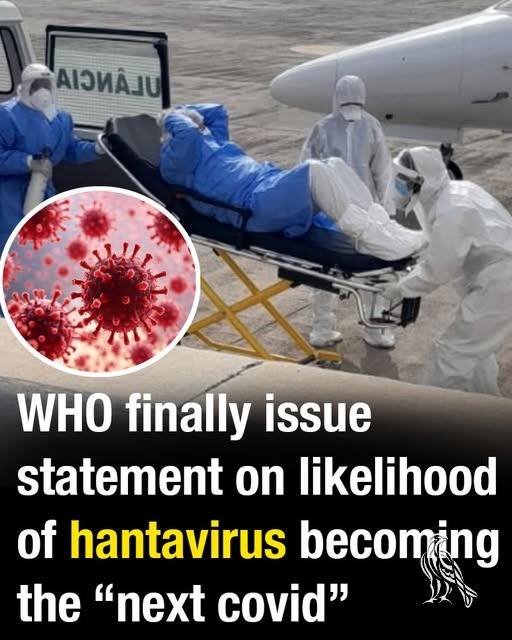 WHO finally issue statement on likelihood of hantavirus becoming the “next covid”