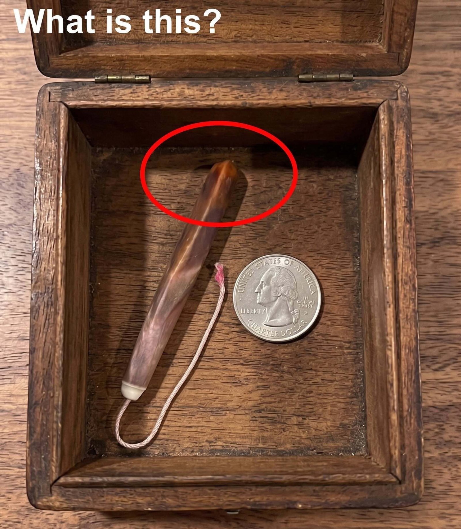 I found this in my grandmother’s drawer… but I was too embarrassed to ask her what it was