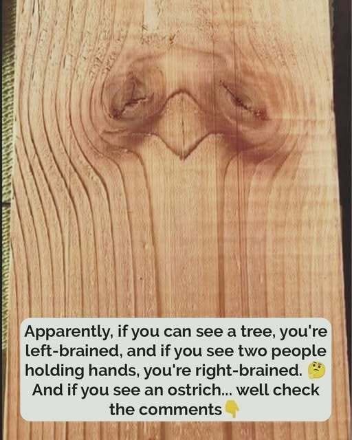 What Catches Your Eye First May Reveal Something About You